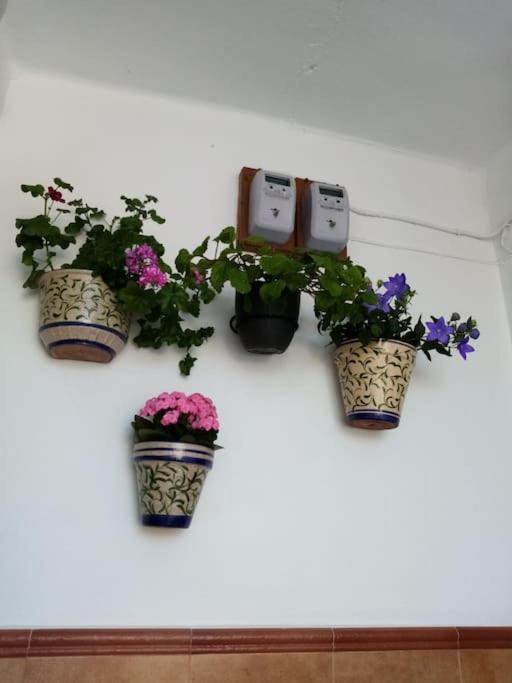 코르테스데라프론테라 La Casita 빌라 외부 사진